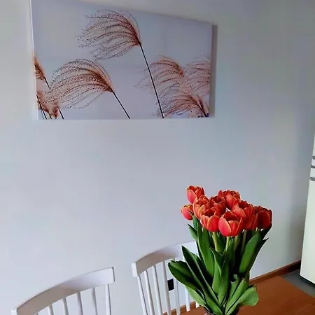 Na Milej Nowecin Holiday home *