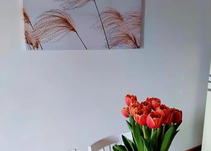 Na Milej Nowecin 度假居 *